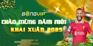 Giới Thiệu Bongvip – Nền Tảng Cá Cược Trực Tuyến Hàng Đầu
